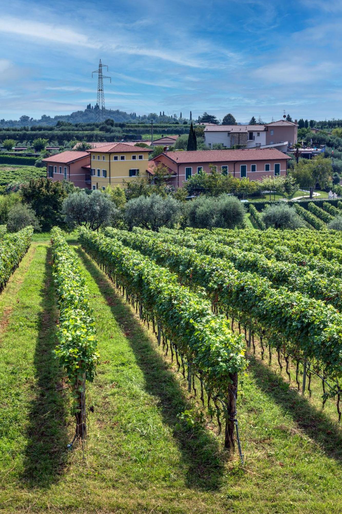 Tenuta Di Palu バルドリーノ エクステリア 写真